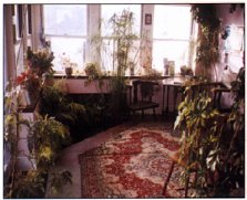 Click to Enlarge 
		  			Conservatory