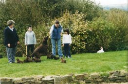 Dell's Puppies 2004