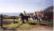 Click to Enlarge Guest's Horses